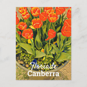 Floriade Canberra Australia flower tulip festival Postcard