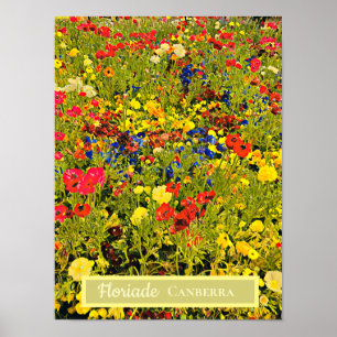 Floriade Canberra flower festival travel print