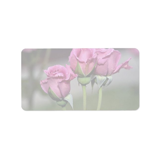 Floribunda 'Angel Face' Roses Label (Front)