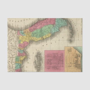 Florida 10 2 tissue paper