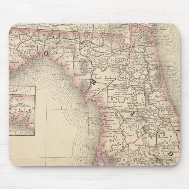 Florida 10 mouse pad (Front)