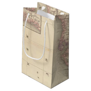 Florida 10 small gift bag