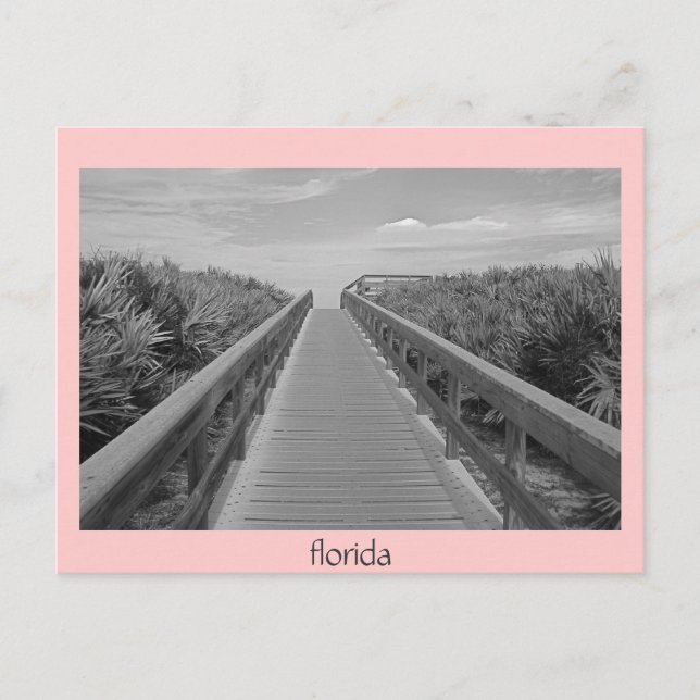 florida 123, florida postcard (Front)
