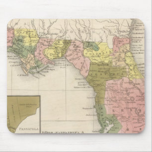 Florida 12 mouse pad