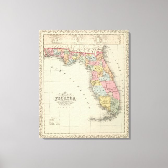 Florida 2 canvas print (Front)