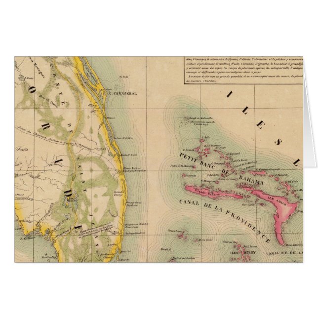 Florida 62 (Front Horizontal)