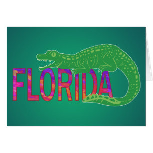 Florida Alligator
