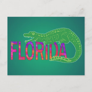 Florida Alligator Postcard