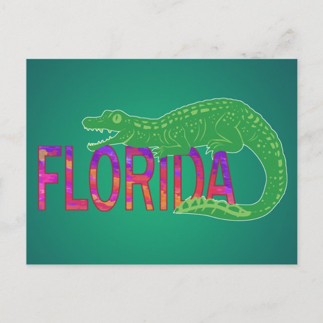 Florida Alligator Postcard (Front)