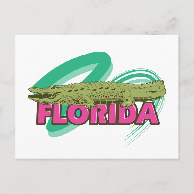 Florida Alligator Postcard (Front)