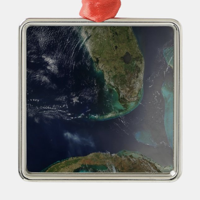Florida and Cuba Metal Tree Decoration (Front)