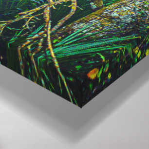 "Florida Backwoods" Wall Art
