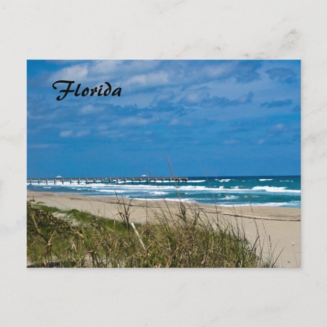 Florida Beach and Pier Postcard (Front)