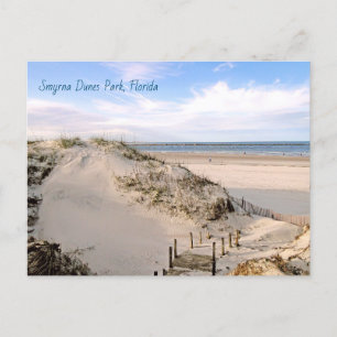 Florida Beach Dunes Park Ponce Inlet Postcard