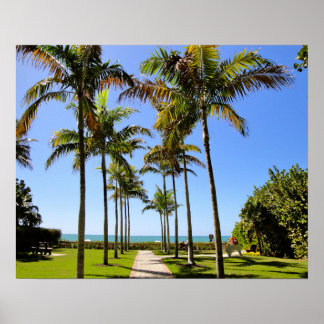 FLORIDA BEACH PALM TREES TROPICAL PARK POSTER