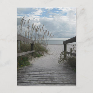Florida Beach Path Postcard