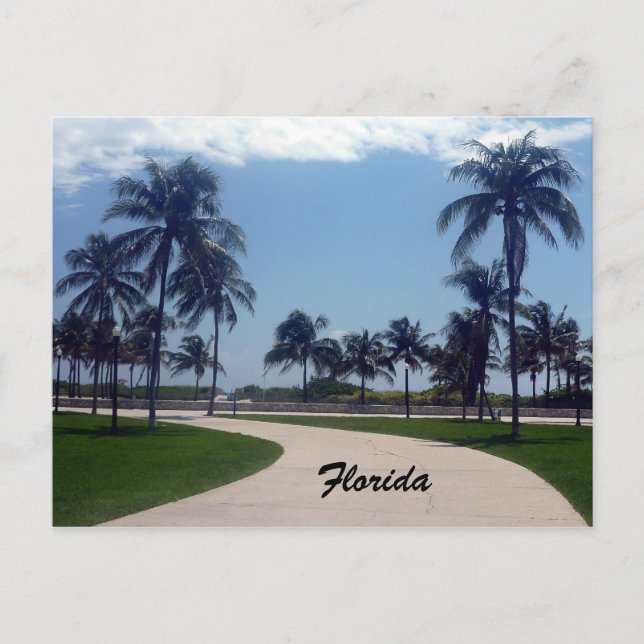 florida beach path postcard (Front)