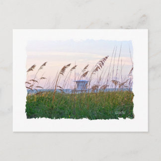 Florida beach pink and purple sunset postcard