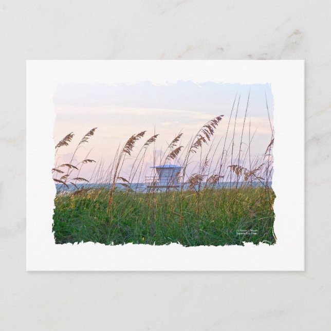 Florida beach pink and purple sunset postcard (Front)