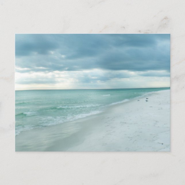 Florida Beach Postcard (Front)