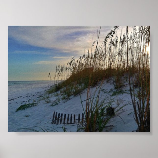 Florida Beach Poster (Front)