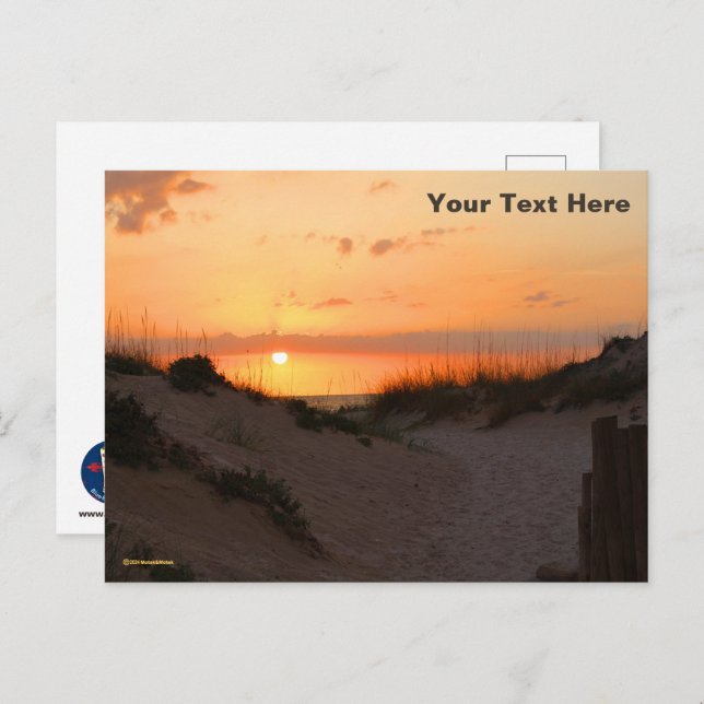 Florida Beach Sunset Postcard (Front/Back)