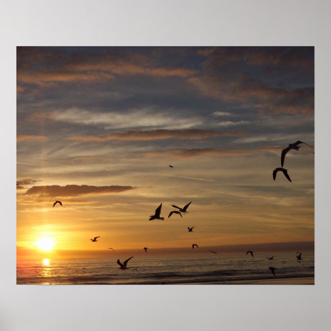 Florida Beach Sunset with Birds Poster (Front)