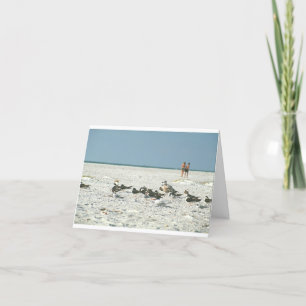 Florida Beach with seagulls fine art photography  Thank You Card