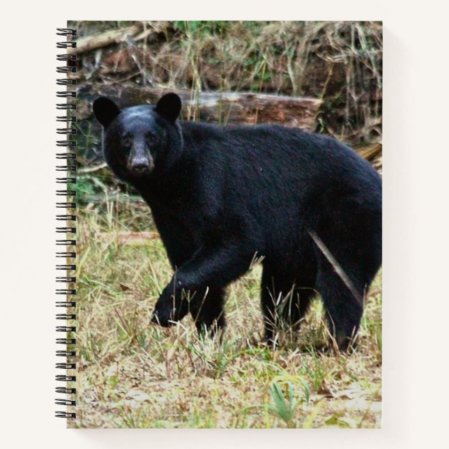 Florida Black Bear Notebook (Front)