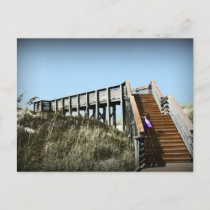 Florida boardwalk, Cape San Blas Gulf Coast Postcard