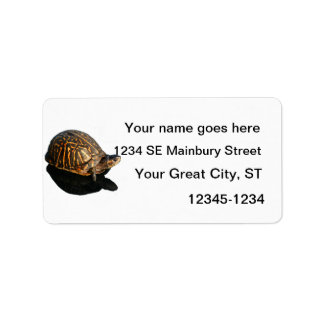 Florida Box turtle Photograph with Shadow Cutout Label