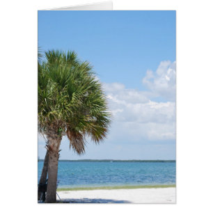 Florida - calm beach