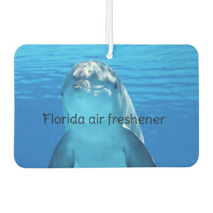 Florida  car air freshener