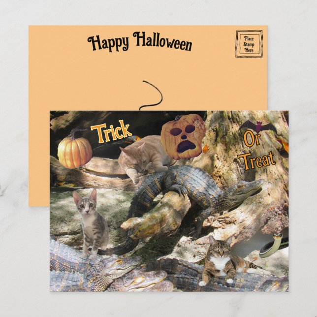 Florida Cat and Gator Halloween Postcard (Front/Back)