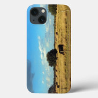 Florida Cattle
