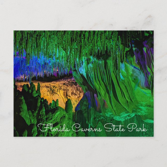 Florida Caverns State Park Postcard (Front)