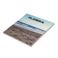 Florida Coastal Shoreline Beach Scene