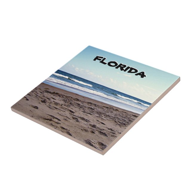 Florida Coastal Shoreline Beach Scene Tile (Side)