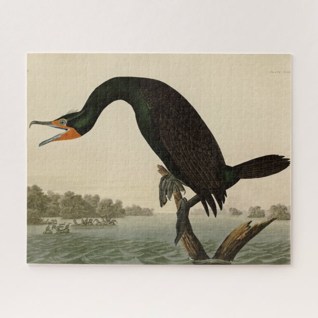 Florida Cormorant from Audubon's Birds of America Jigsaw Puzzle (Horizontal)