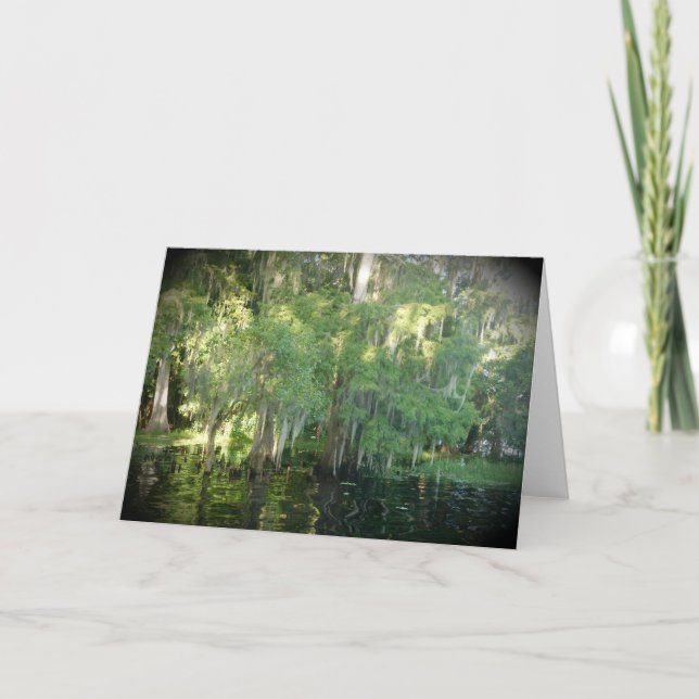 Florida Cypress Trees Note Card - Blank (Front)
