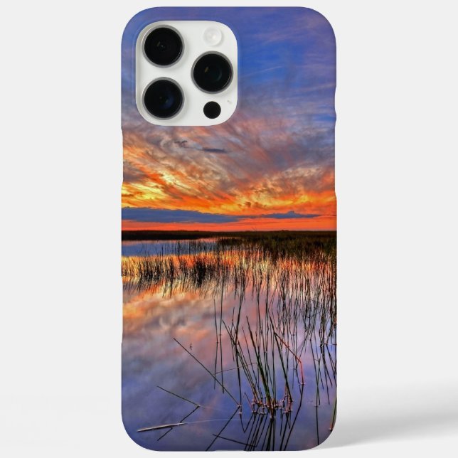 Florida Everglades Case-Mate iPhone Case (Back)