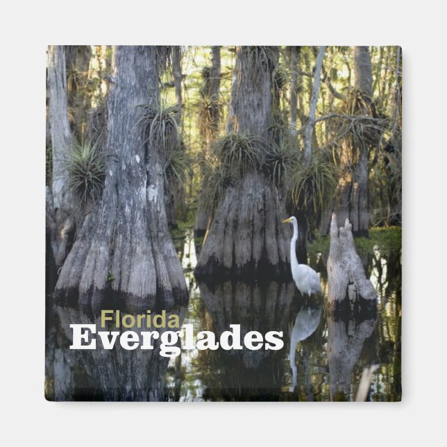 Florida Everglades Photo Souvenir Fridge Magnet (Front)
