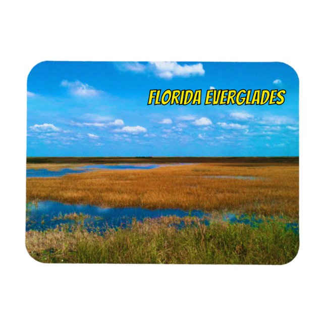 Florida Everglades Sawgrass, Sky & Reflections Magnet (Horizontal)