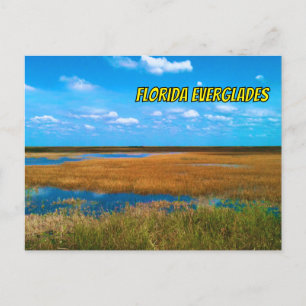 Florida Everglades Sawgrass, Sky & Reflections Postcard