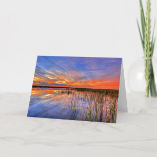 Florida Everglades, scenic panorama, Card