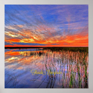 Florida Everglades, scenic panorama, Poster