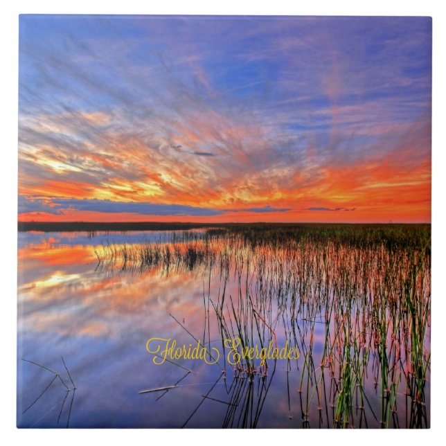 Florida Everglades, scenic panorama, Tile (Front)