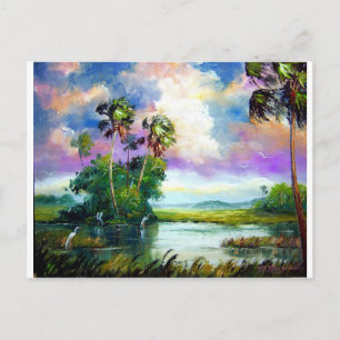 Florida Everglades Wind Postcard