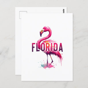 Florida, Flamingo, Postcrossing Postcard