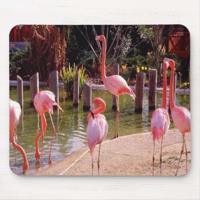 Florida Flamingos Mouse Pad (Front)